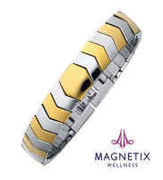 Magnetix Collection  2014
