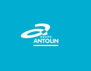 Grupo Antolin Deutschland Ltd.